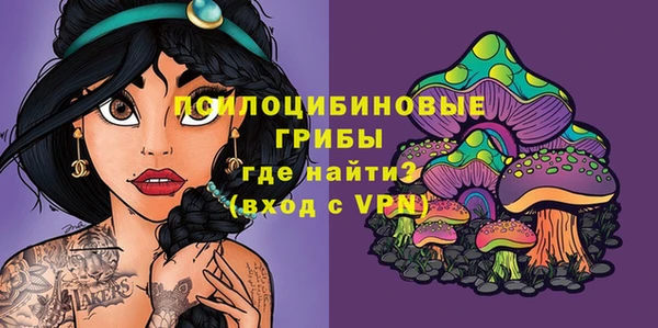 ГАЛЛЮЦИНОГЕННЫЕ ГРИБЫ Арсеньев