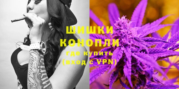 ГАЛЛЮЦИНОГЕННЫЕ ГРИБЫ Арсеньев
