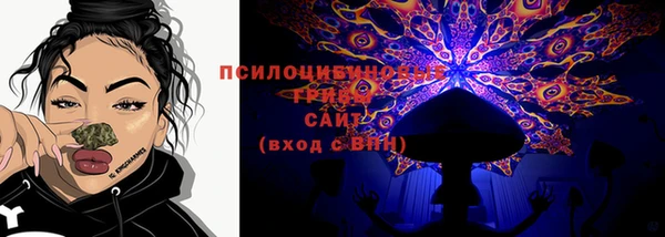 ГАЛЛЮЦИНОГЕННЫЕ ГРИБЫ Арсеньев